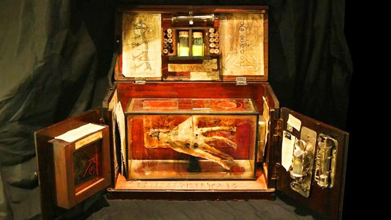 Музей криптидов томаса мерлина фото Bodies Of Strange Creatures Were Found In The Basement Of An Old House In London