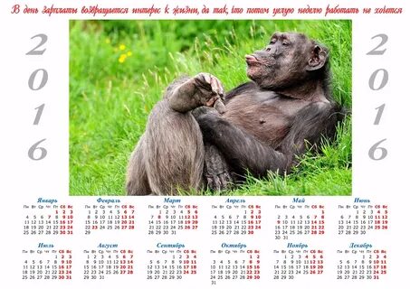 Календарь 2016г