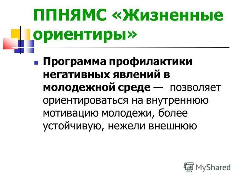 Программа профилактики социально негативных явлений