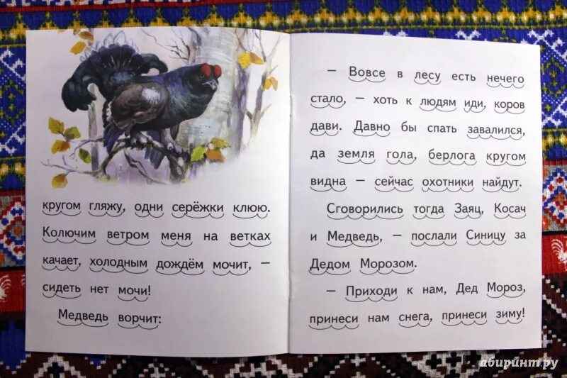 Заяц косач и дед мороз. Заяц косач и дед мороз. Заяц косач и медведь. Бианки заяц косач. Бианки заяц косач.