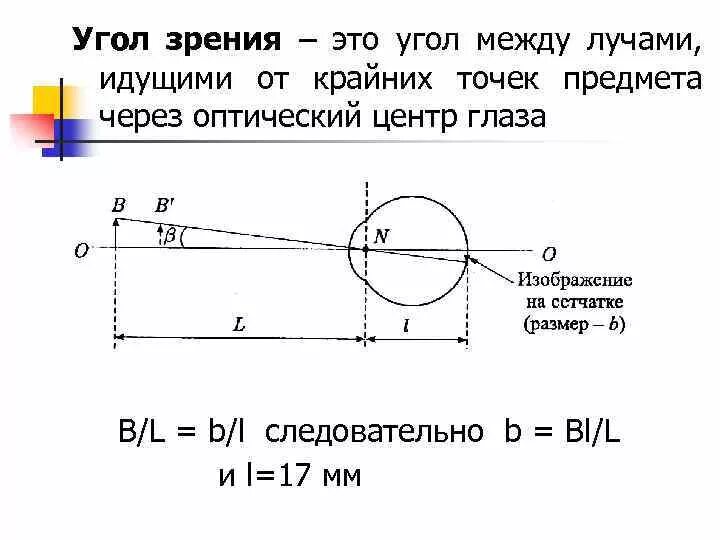 Точка лежащая зрение. Угол зрения. Предельный угол зрения. Угол зрения изобразить графически. Угол зрения человека.