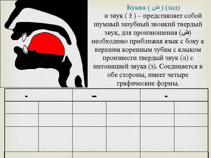 Задом звуки