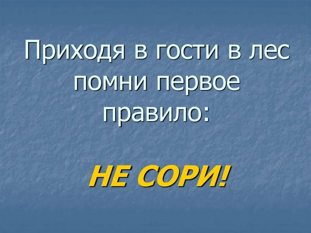 Первое правило леса. Никому нельзя доверять цитаты. Первое правило леса никому не доверять. Правило леса никому не доверять. Правило леса никому не доверять.