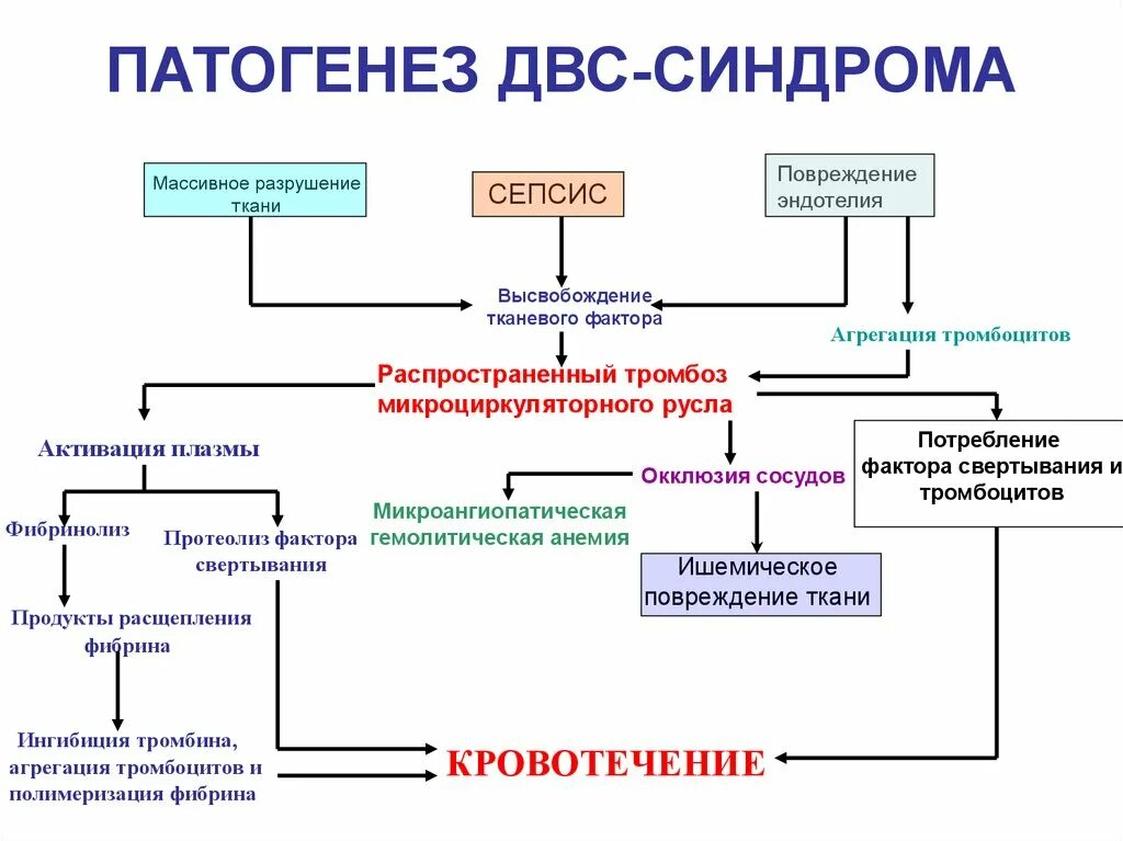 Двс синдром тромбоцитопения. Патогенез двс синдрома схема. двс синдром механизм развития. механизм развития 1 стадии двс синдрома. патогенез развития двс синдрома в развитии сепсиса.