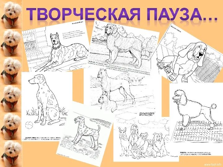 Собаки 1 класс литературное чтение. Собаки 1 класс литературное чтение. Описание лайки. Собаки 1 класс литературное чтение. Михалков с.