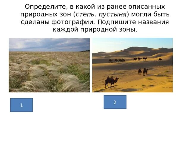 Климат Степной зоны. Степь и пустыня сравнение. Сравнение пустынь и степей. Сходства степи и пустыни.