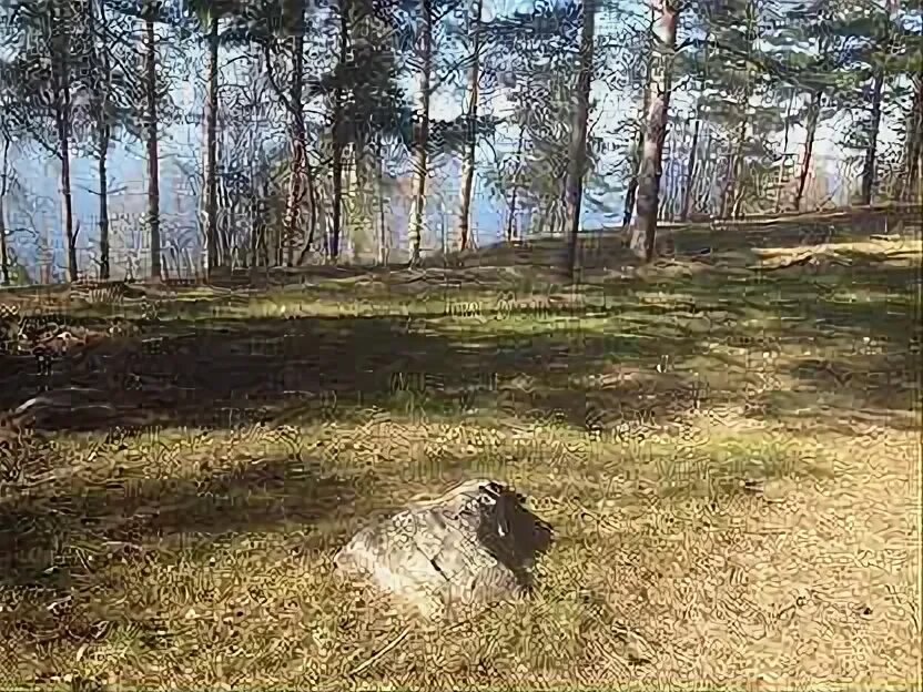 Ларионово рыбинск