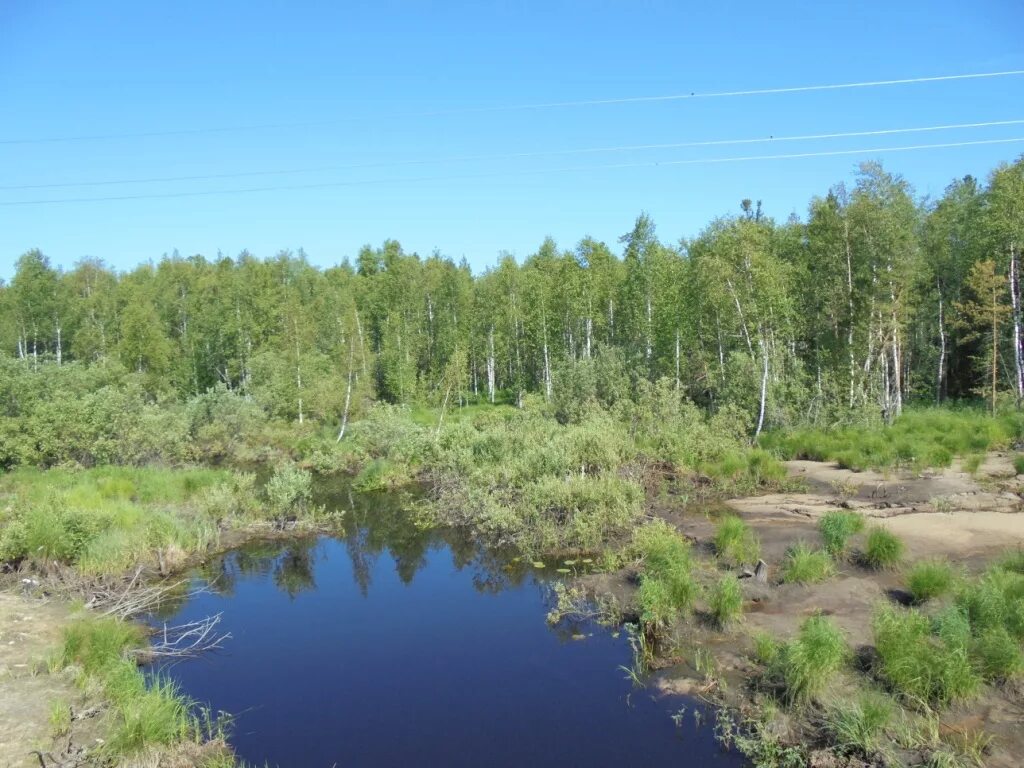 Заповедник березовский