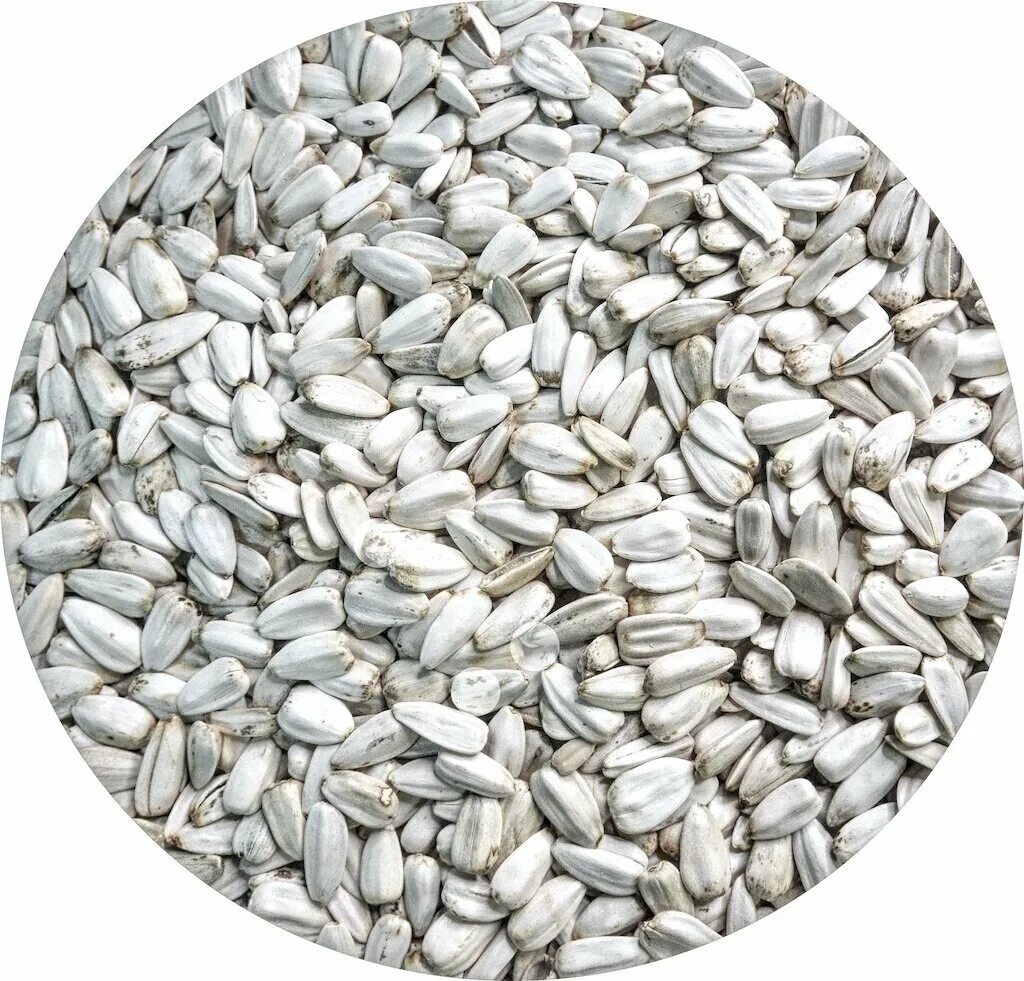 Rechercher les fabricants des Premières Watermelon Kernels produits de qualité s