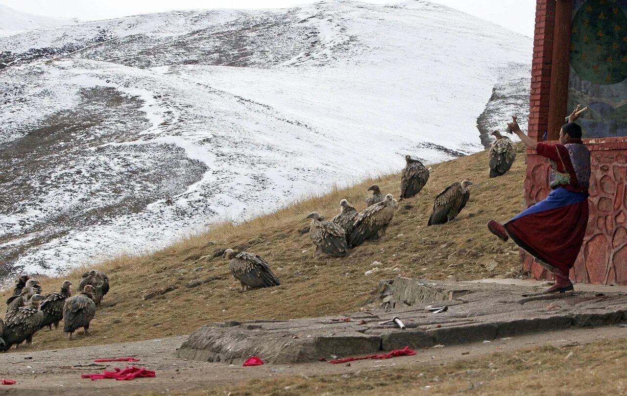 Amaarae angels in tibet
