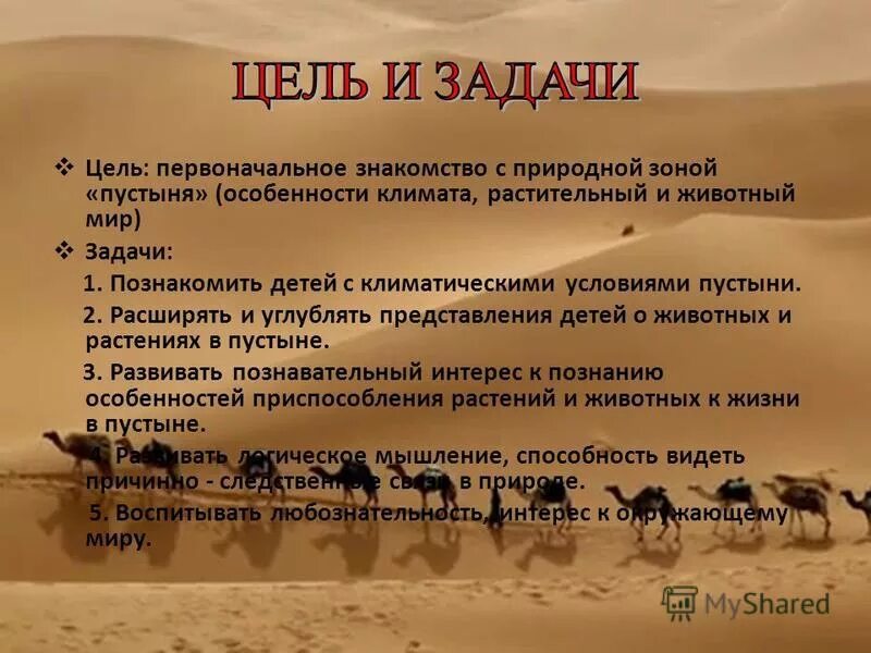 какие высказывания о зоне пустынь являются верными