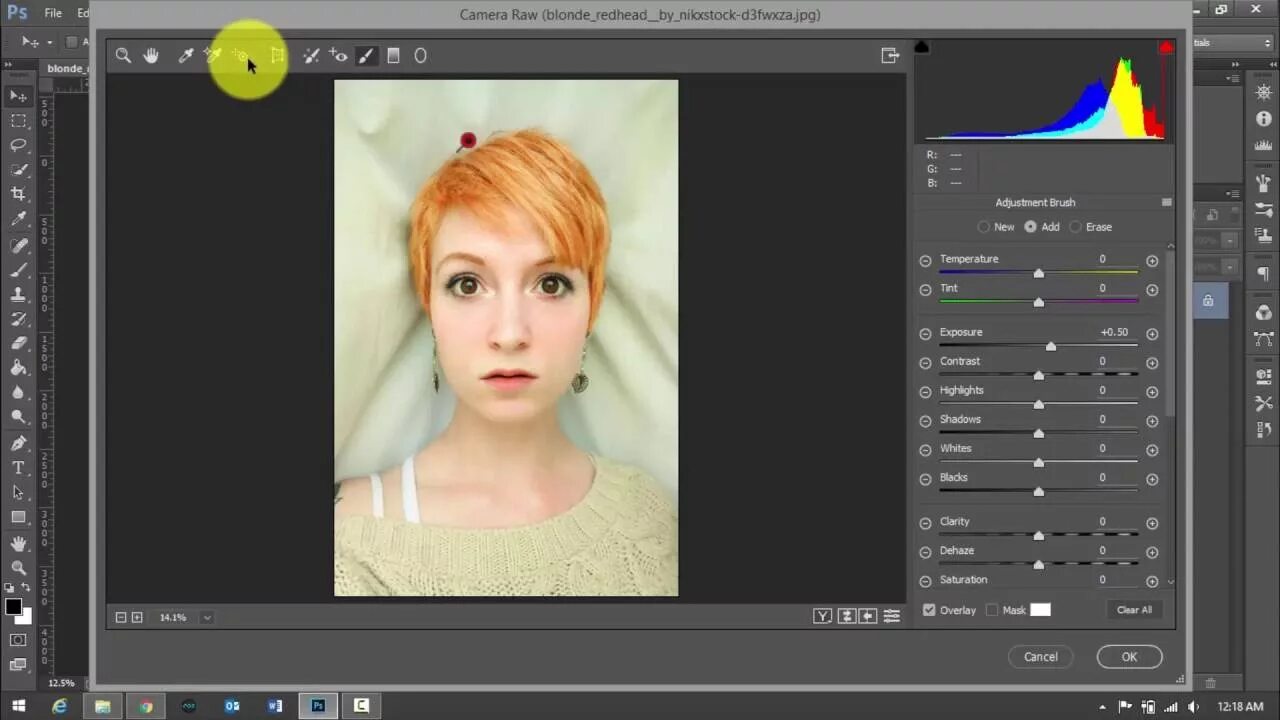 Install raw. Camera raw. уроки фотошопа камера рав. плагин raw для photoshop. камера рав 9.7.