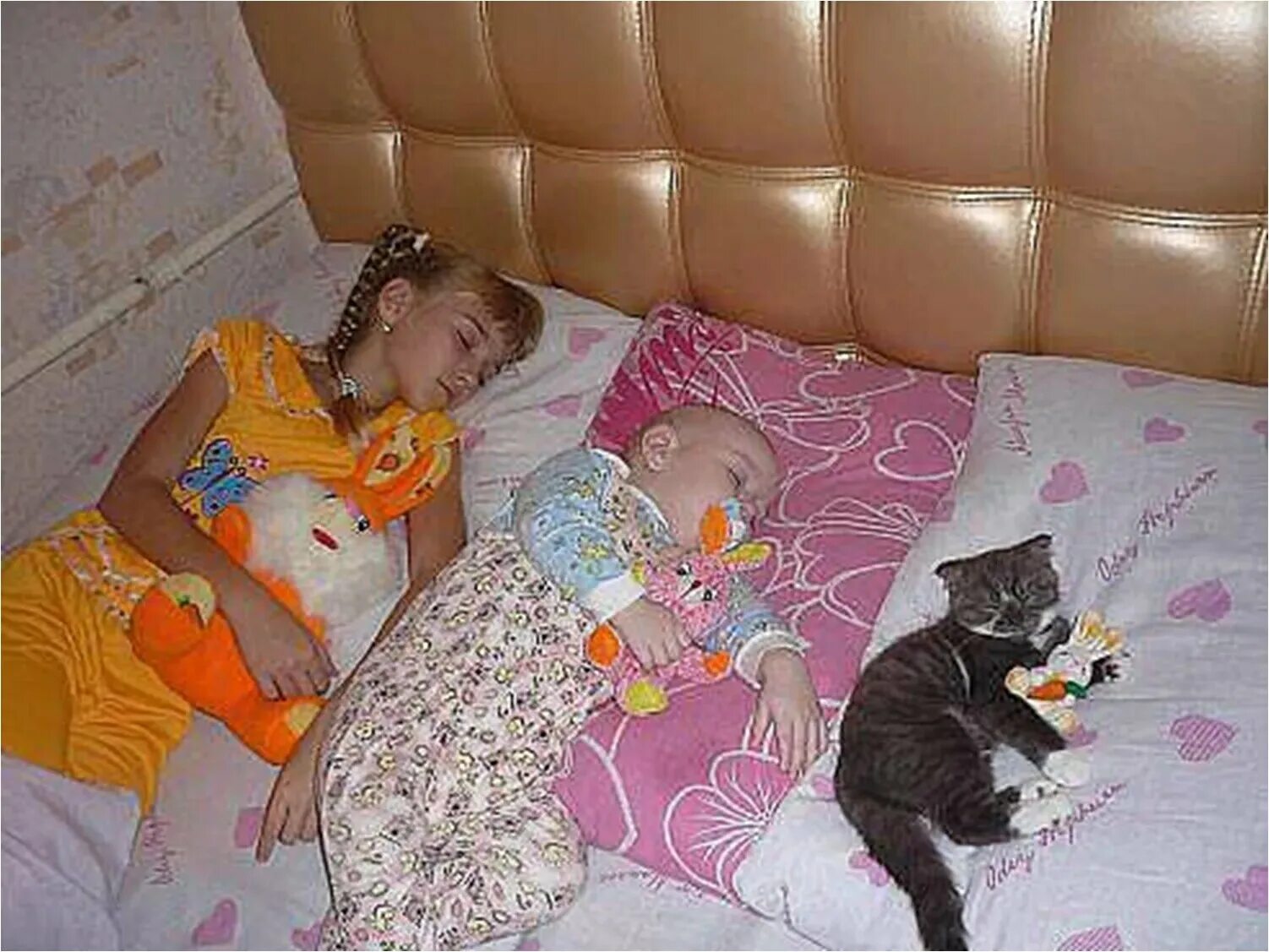 Почему маленькие дети любят. Кот с ребенком в кроватке. Детям о животных. Кот для детей.