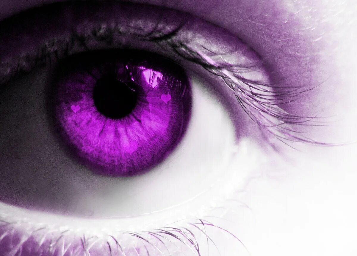 Синдром вейля маркезани. Синдром вейля маркезани. Мутация александрии. Генезис александрии фиолетовые глаза. Редкий цвет глаз.