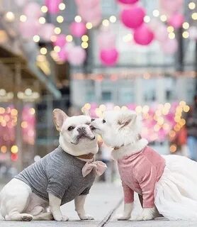 Puppy loving