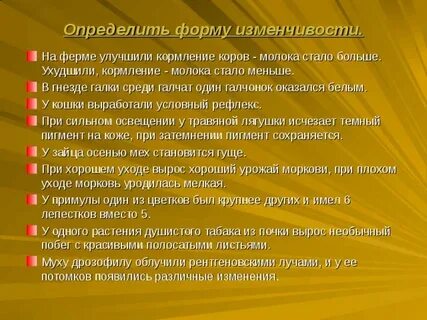 На ферме улучшили кормление коров молока