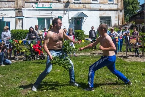 День крапивы
