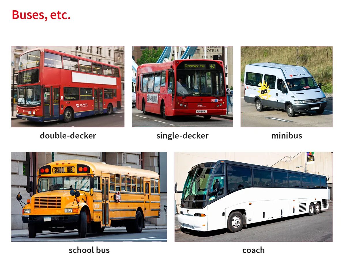 Buses it or they