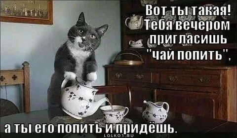 Пришла на чай
