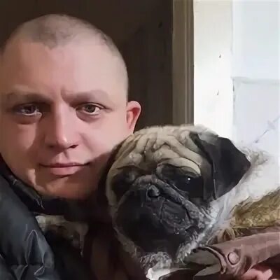 Сера ростов
