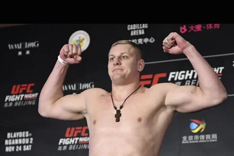 Павлович 12 ноября