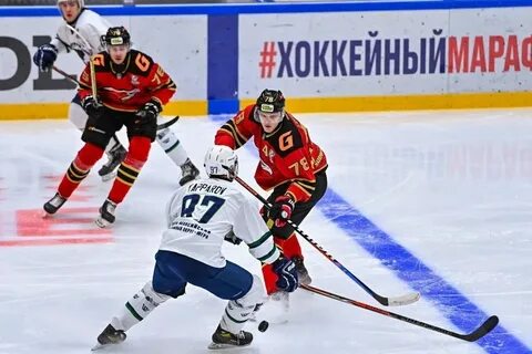 Ястребы мамонты югры прогноз