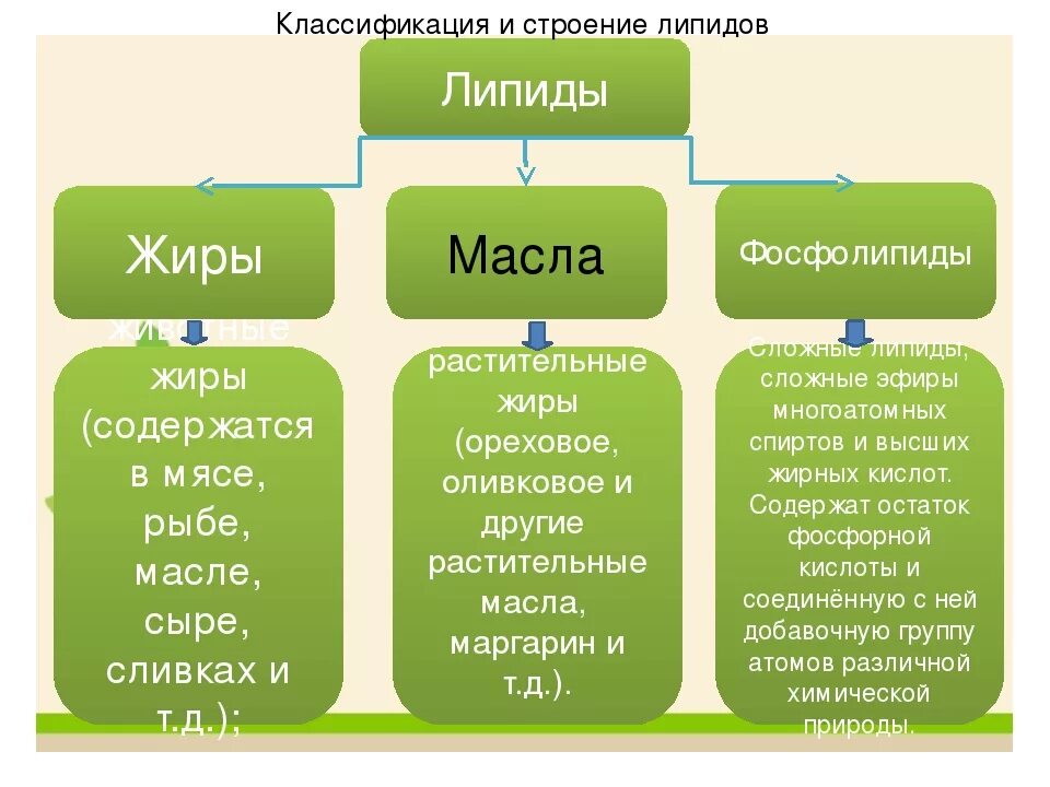 1 группа жиры