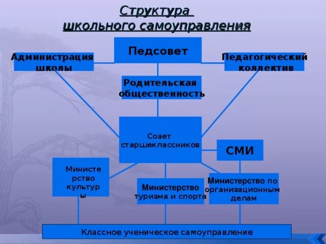 Органы общественного самоуправления в образовании