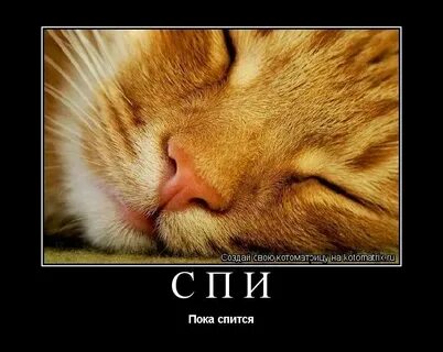 Рассказ пока я спал