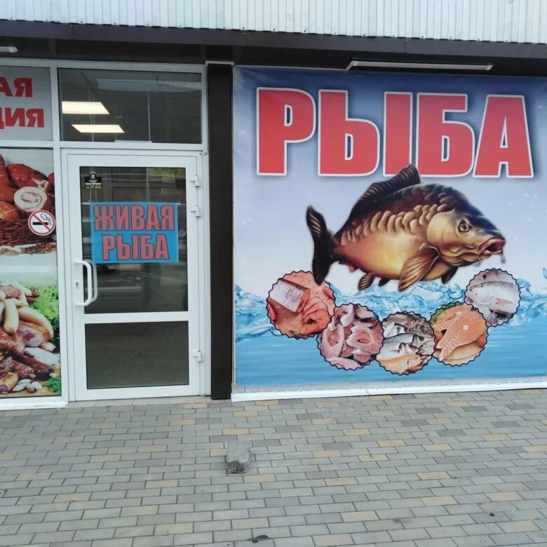Мясо рыба краснодар. Реклама рыбы для магазина. Баннер для рыбного магазина. Рекламный баннер рыбы. Рыба баннеры для магазинов.