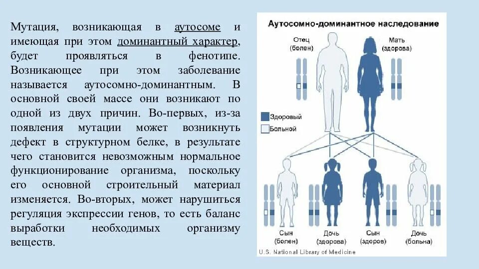 Типы наследования патологии аутосомно рецессивный. Схема аутосомно доминантного наследования. Аутосомно-доминантный тип наследования схема. Аутосомно-доминантный тип наследования болезни. Аутосомно-доминантные заболевания.