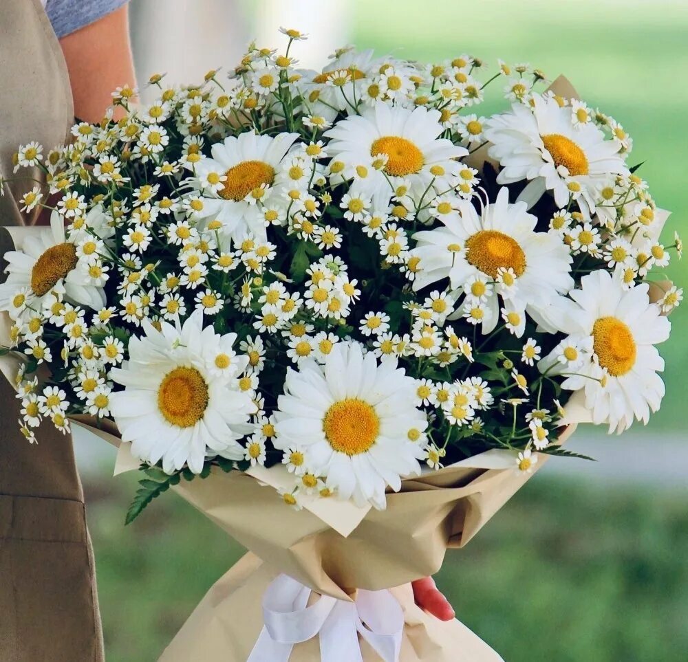 Композиция из мыльных ромашек. Маленький букет ромашек. Букет "матрикария". Свадебный букет из ромашек. Мелкие ромашки букет.