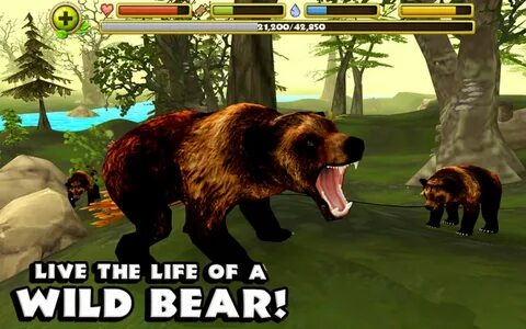 Bear пк