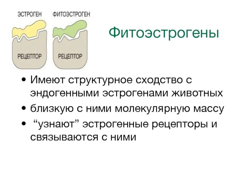 Фитоандрогены. Фитоэстрогены. Эстроген и фитоэстроген. Фитоэстрогены в продуктах. Растительные эстрогены фитоэстрогены.