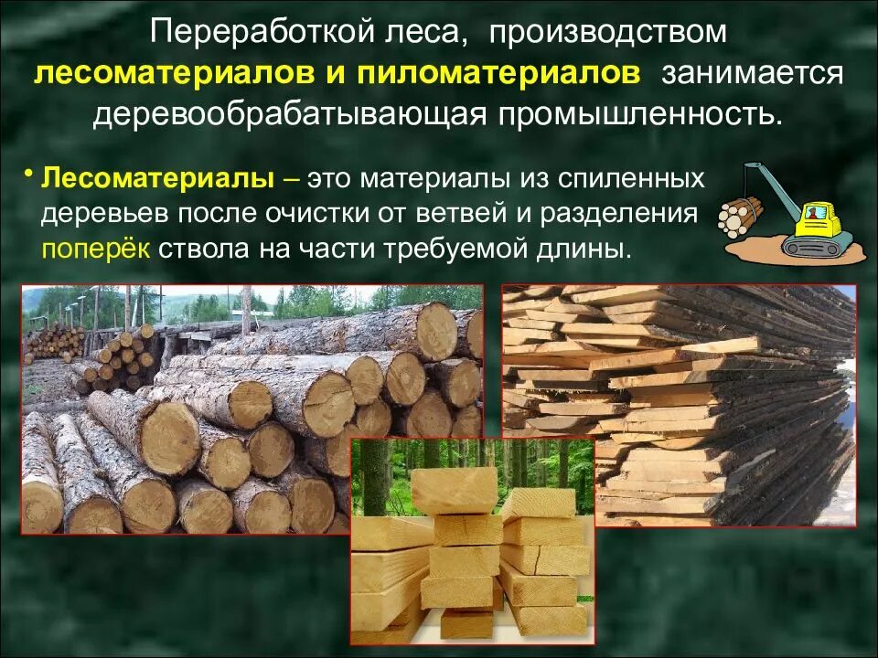 Древесина обработка древесины урок технологии