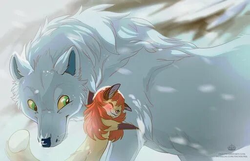 Волчица холо и лоуренс 18 +. Волчицу лису. Волк и лиса. Волчицу лису. Волк и волчица.