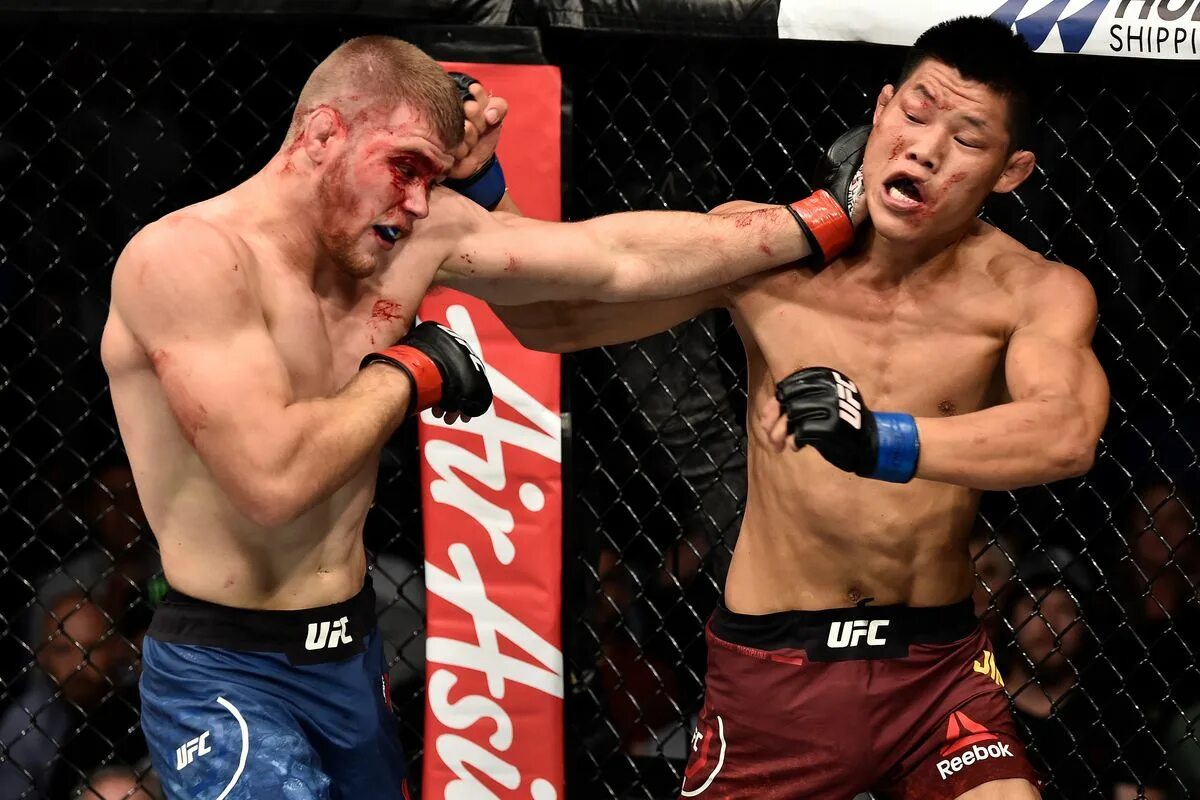 Лучший бой 2008. Бой мэттьюс. Хуан мануэль маркес и рафаэль маркес. Лучший бой 2008. Лучший бой 2008.