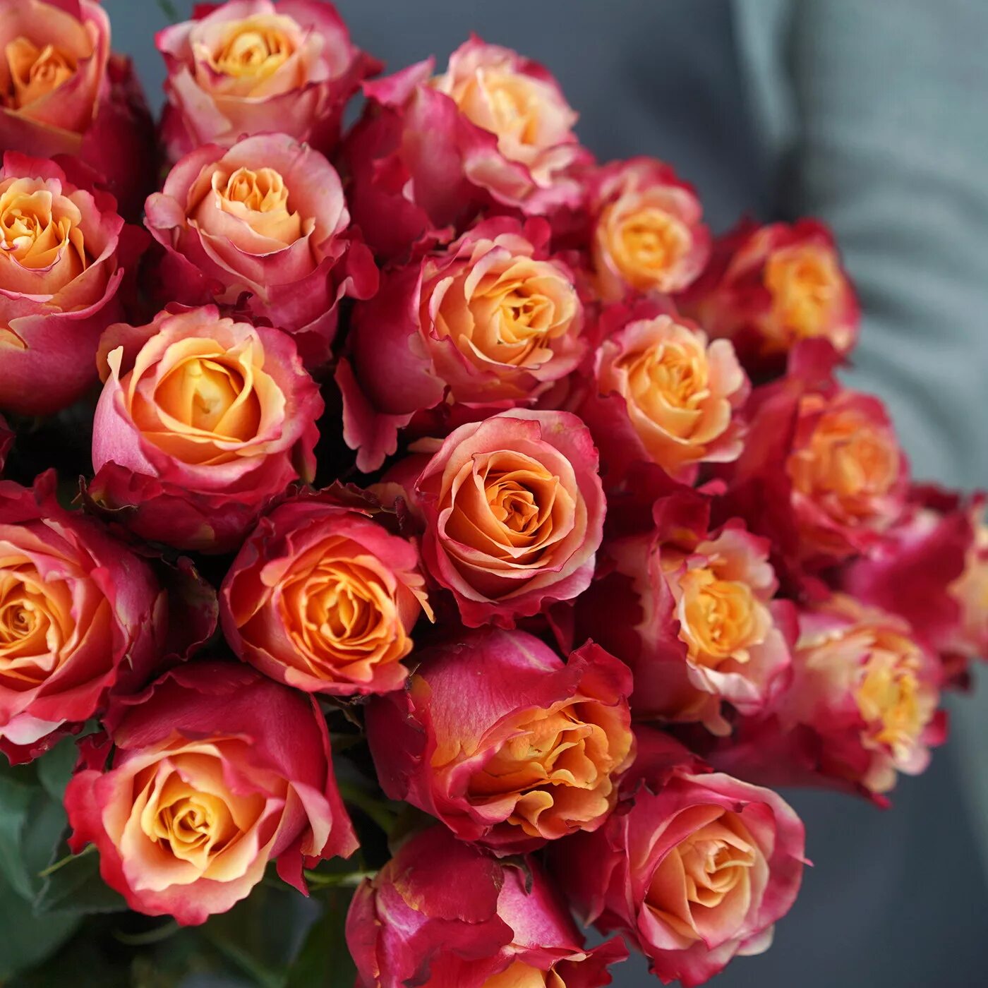 3д цветы розы. Розочка на 3д принтере. Разные розы. Цветы. Одна роза.