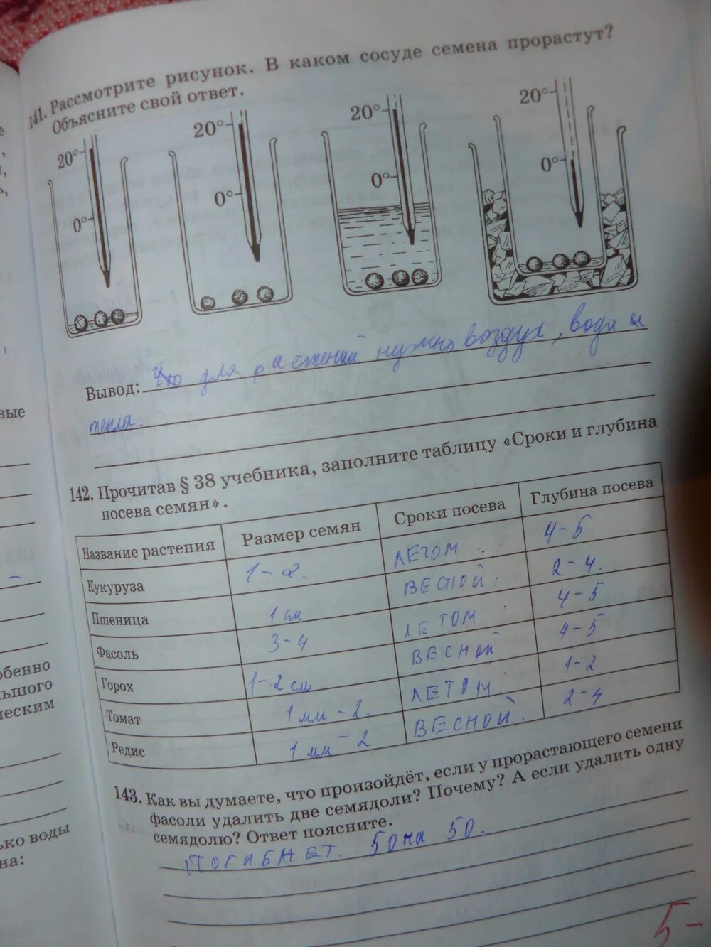 Рассмотрите рисунок в каком сосуде семена. Лабораторная работа определение всхожести семян растений. Биология 6 класс практическая работа посев семян. Сроки и глубина посева семян таблица 6 класс биология. Заполните таблицу сроки и глубина посева семян.