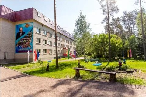 Дол зеленый город