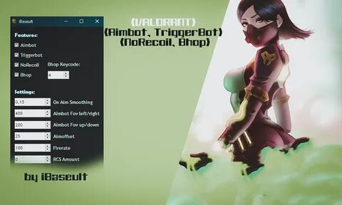 Please close valorant before launch cheat