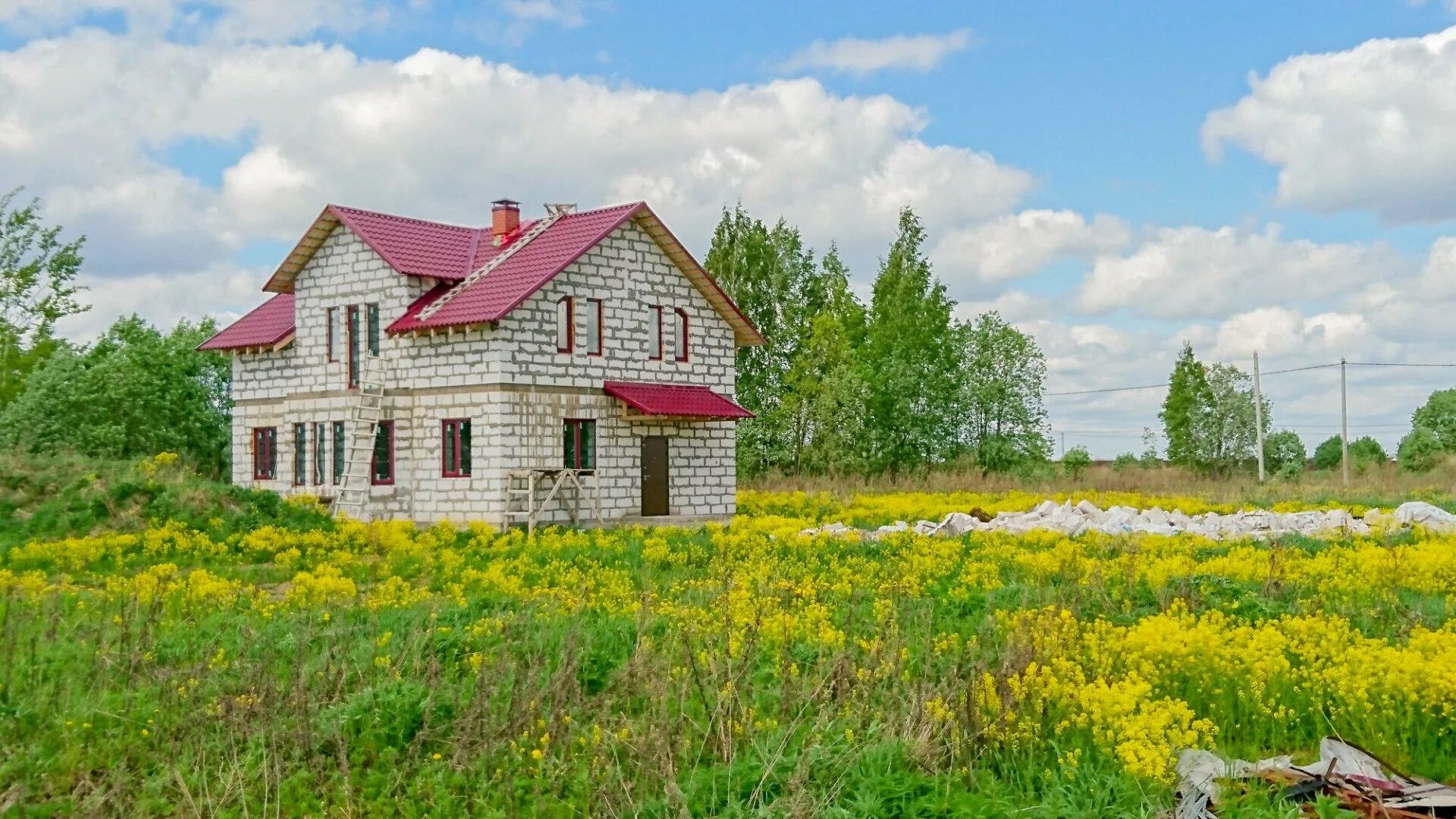 Лен цветок. Лен земля. Лен земля. Лён обыкновенный долгунец. Лен земля.