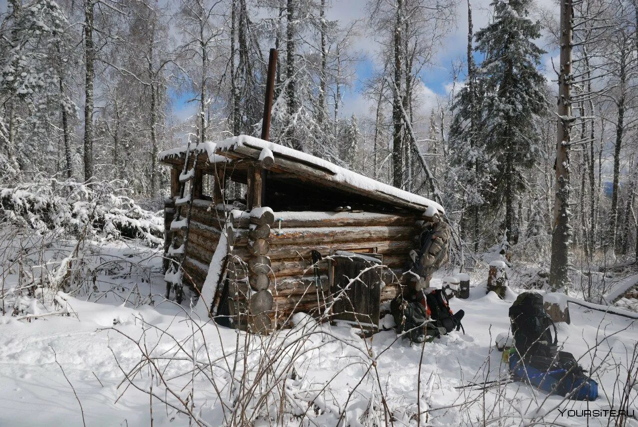 Два дня в тайге. Избушка зигальга. охотничья избушка коми охотника. охотничья изба в тайге. избушка зимовье землянка охотника.