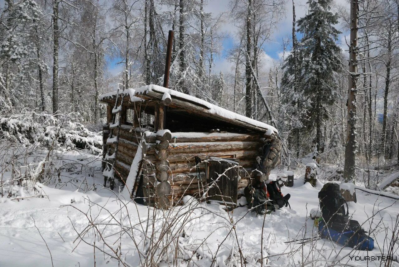 4 дня в тайге. Избушка Зигальга. Охотничья избушка Коми охотника. Охотничья изба в тайге. Избушка зимовье землянка охотника.