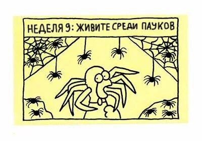 Древнейшая группа среди паукообразных