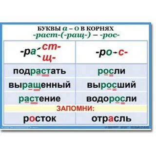 Как правильно пишется слово роса
