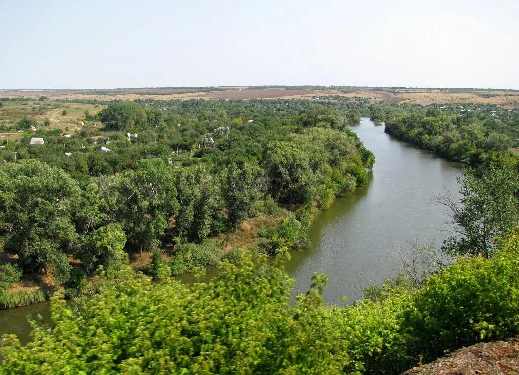 белая калитва воронеж