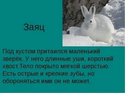 Опорные слова зайца 1 класс окружающий мир