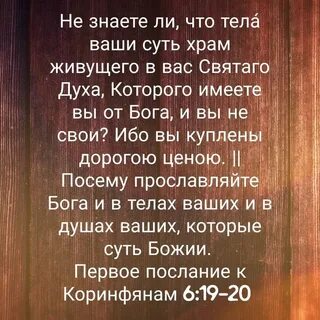Вы куплены дорогой ценой