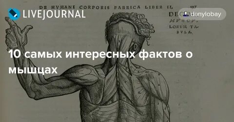 Легенды о мышцах